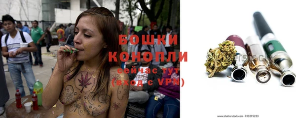 твердый Лабытнанги