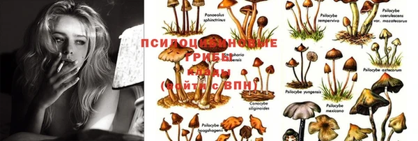 мяу мяу кристалл Лиски