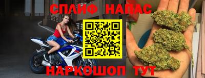 ECSTASY Донской
