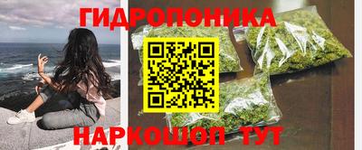 jwh Апшеронск