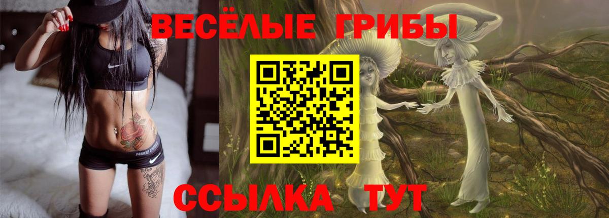 Галлюциногенные грибы Psilocybe Урай