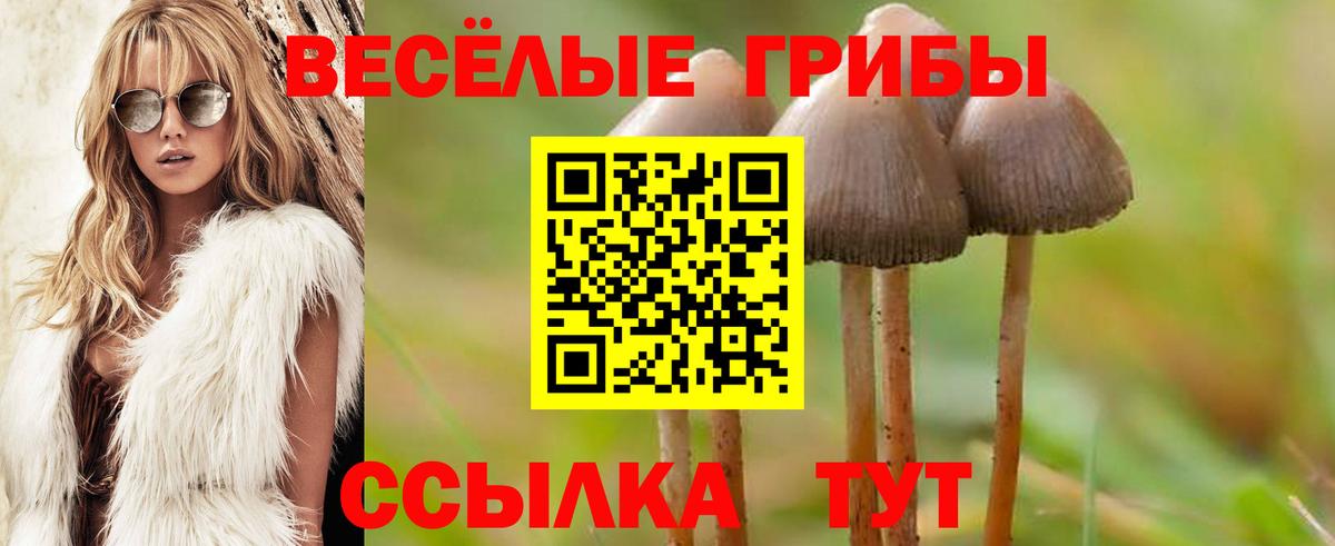Галлюциногенные грибы ЛСД  Урай  Галлюциногенные грибы MAGIC MUSHROOMS 